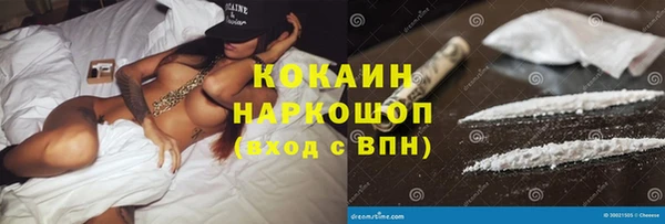 прущие грибы Лихославль