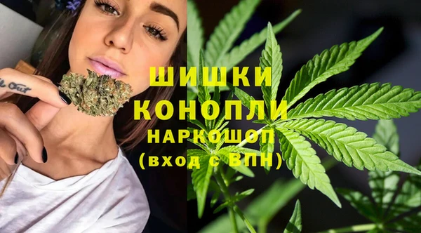 прущие грибы Лихославль