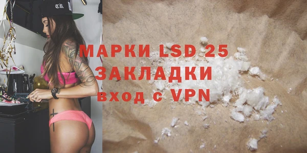 крисы Новодвинск