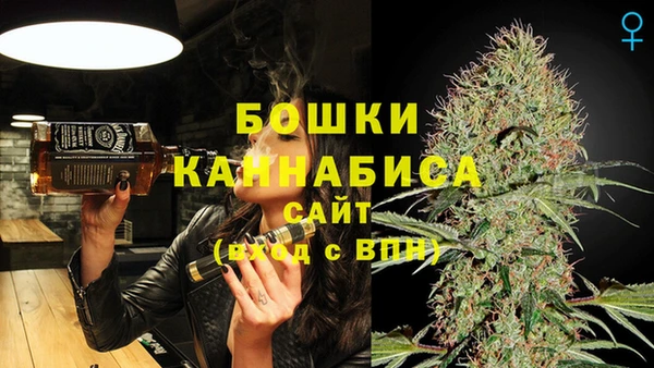 прущие грибы Лихославль