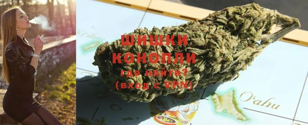 прущие грибы Лихославль