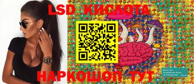 мяу мяу мука Аргун