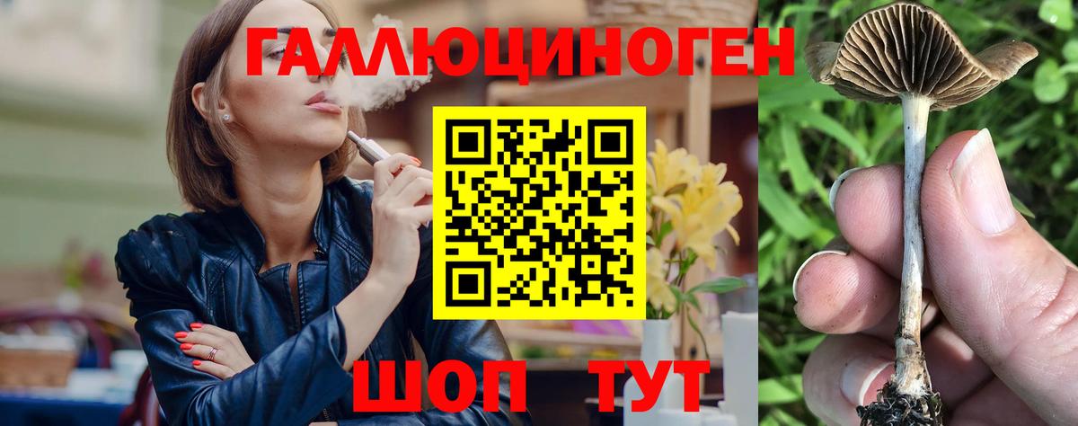 Псилоцибиновые грибы Psilocybe Усинск